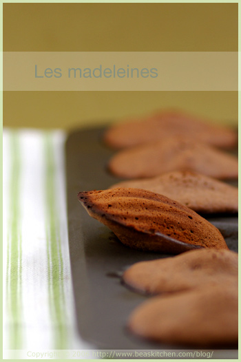 chocolate madeleine