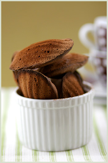 chocolate madeleine