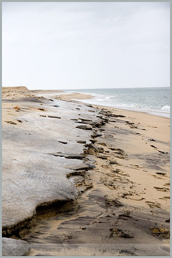 Chappaquiddick martha vineyard