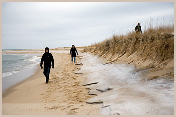 Chappaquiddick martha vineyard