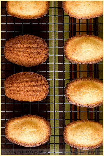 madeleines