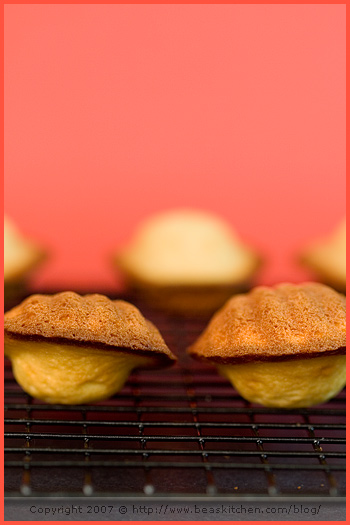 madeleines