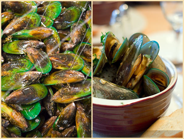 new zealand greenlip mussels