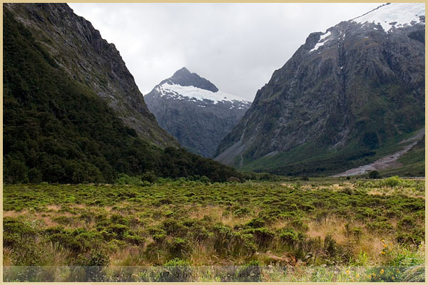 milford sound new zealand