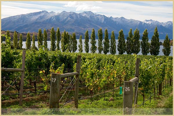 mt difficulty winery lunch new zealand