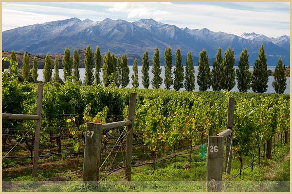 mt difficulty winery lunch new zealand