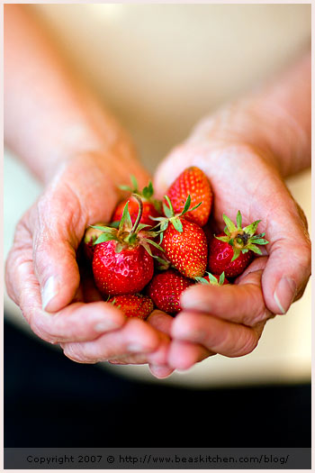 gariguette strawberries strawberry fraises