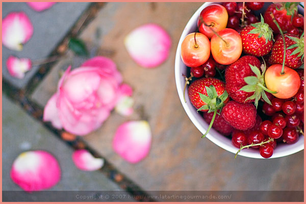 culinate tartine gourmande red currant fruit summer