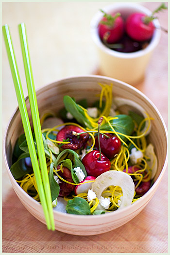 fennel cherry mâche tartine gourmande pistachios yellow beet turning vegetable slicer food styling