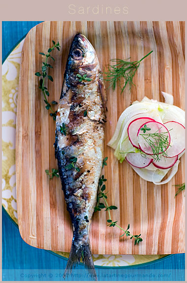 BBQ grilled sardines