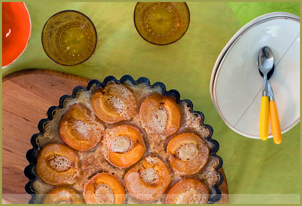 apricot clafoutis chestnut