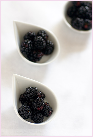 A Taste of Blackberries Links | Mr..