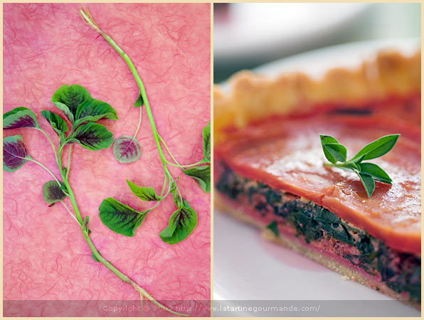 amaranth beet tart olive oil crust