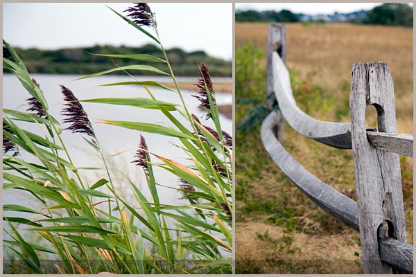 plum island massachusetts