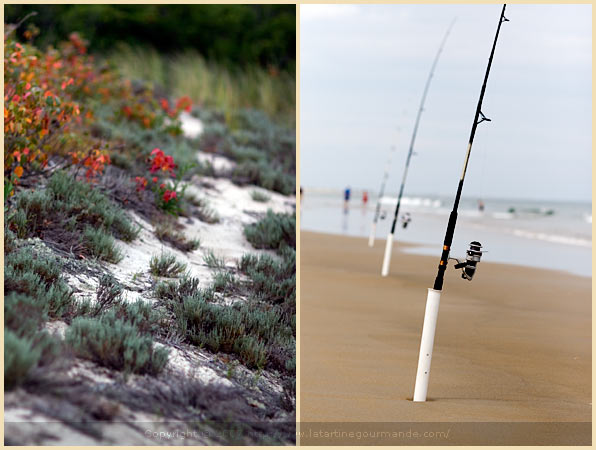 plum island massachusetts