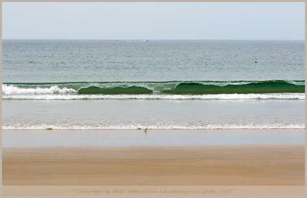 plum island massachusetts