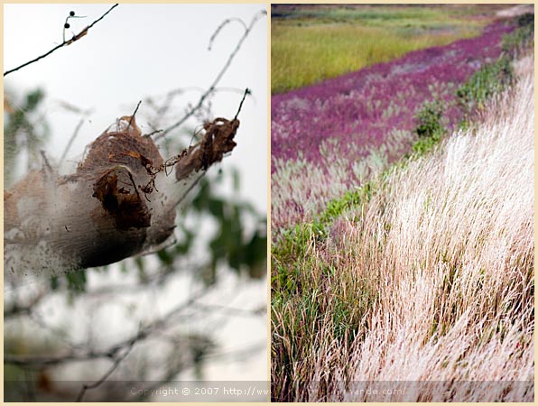 plum island massachusetts