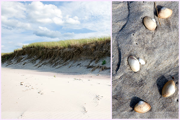 crane beach