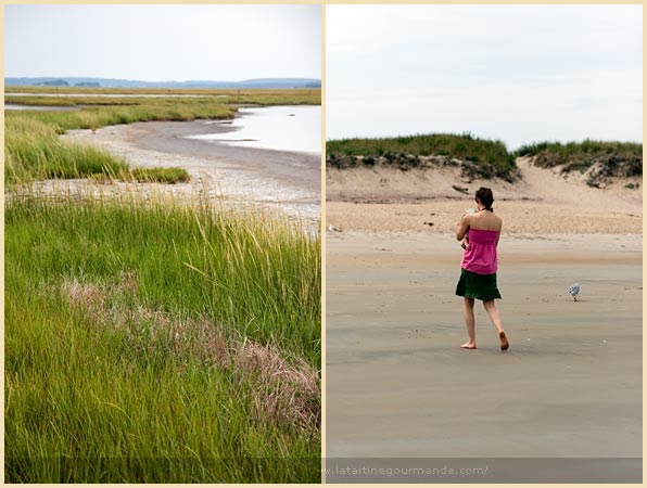 plum island massachusetts