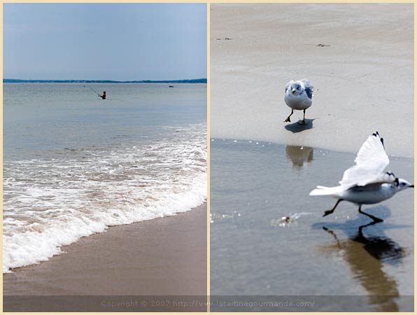 plum island massachusetts