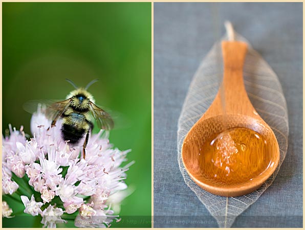 honey bee garlic chive