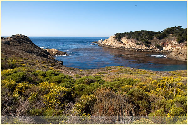 los lobos state park monterey