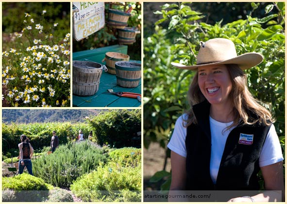 earthbound farm monterey