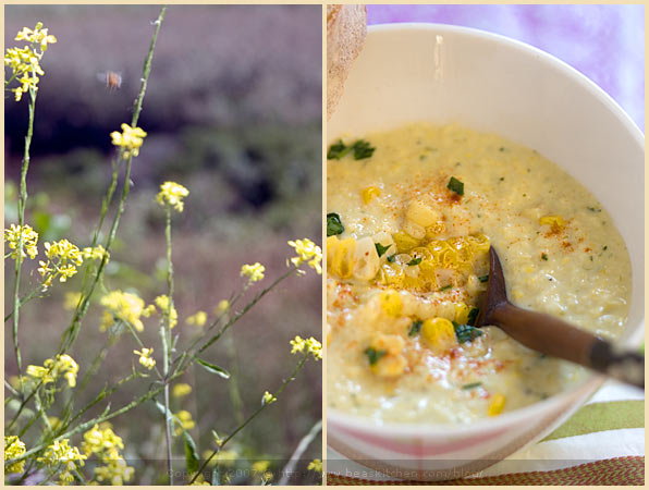 corn soup paprika