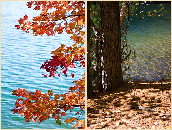 walden pond fall new england