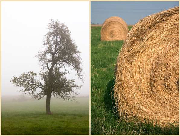 lorraine countryside