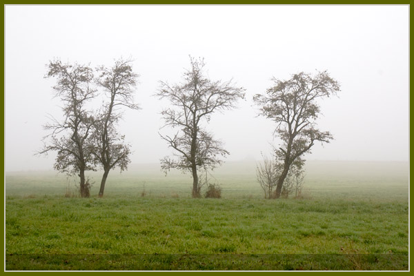 lorraine countryside