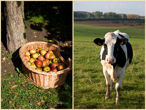 lorraine countryside