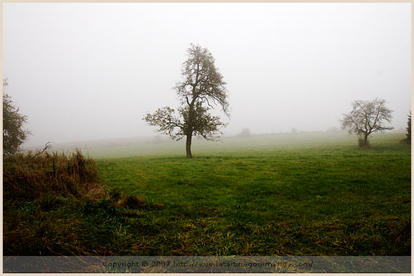 lorraine countryside