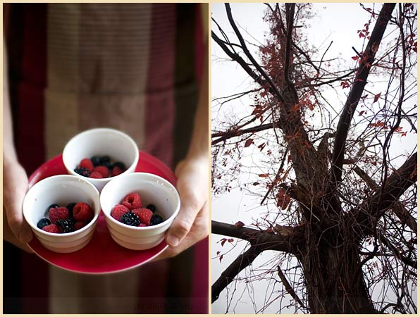 lavender berry creme brulee