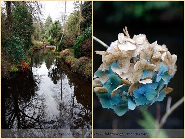 mount usher gardens ireland