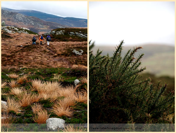 wicklow mountain ireland walk