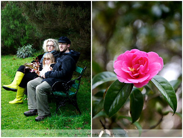 mount usher gardens ireland