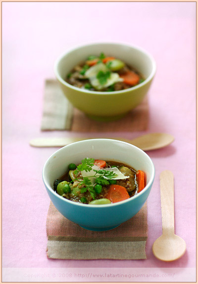 The Vegetable Broth and the Minestrone — Le bouillon de légumes et la  minestrone