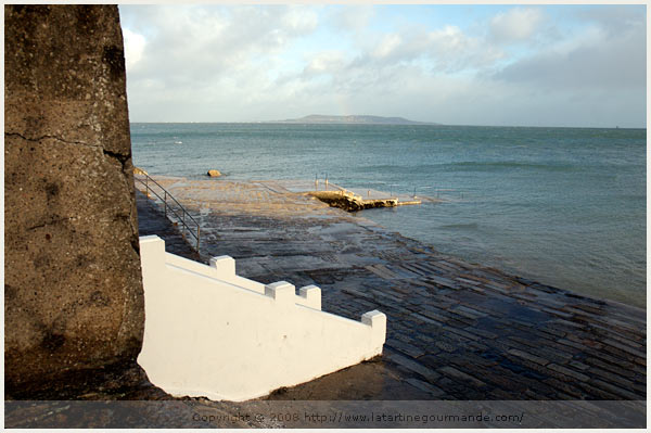 monkstown ireland