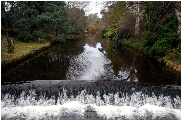 mount usher gardens ireland