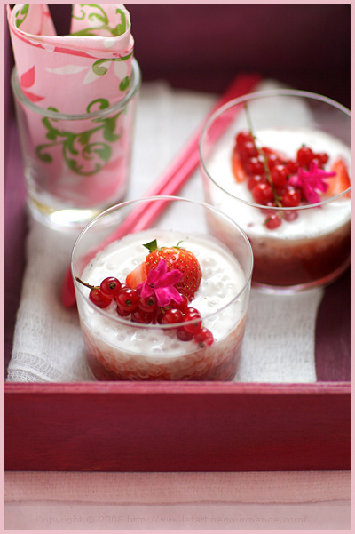 coconut tapioca pudding