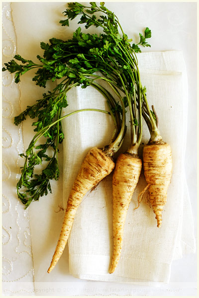 parsley root