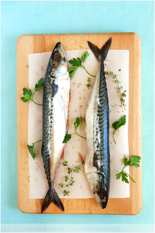 mackerel whole cooked fish