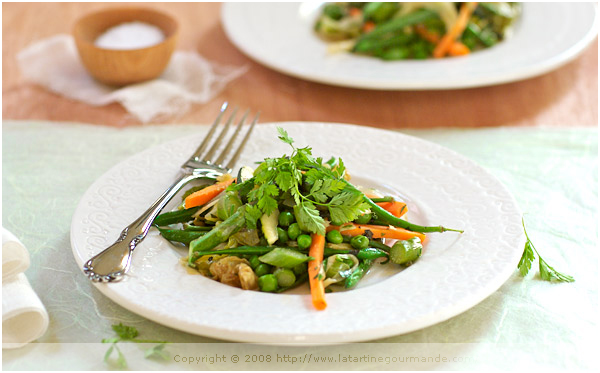 jardiniere legumes verts spring vegetable stew