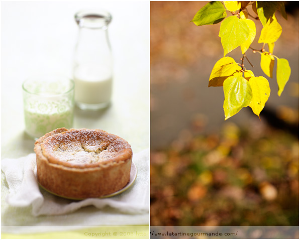 lemon poppyseed yogurt tart