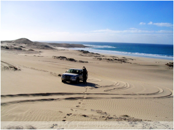 cape verde boa vista