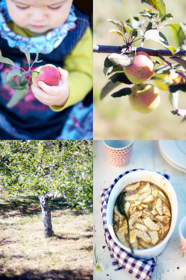 apple clafoutis