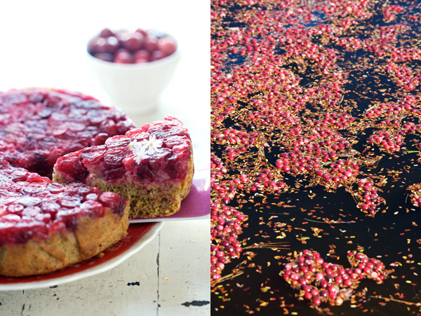 Lulu gluten free cranberry upside down cake