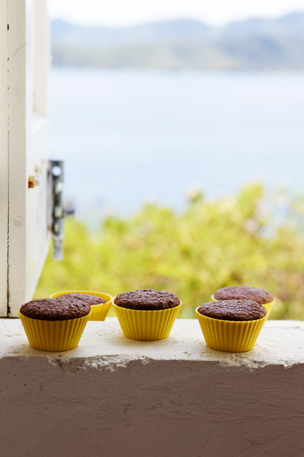 chocolate zucchini muffins