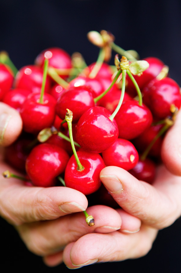 Albestroff Lorraine cherries France